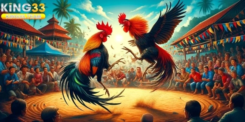 Đá Gà Cựa Dao
